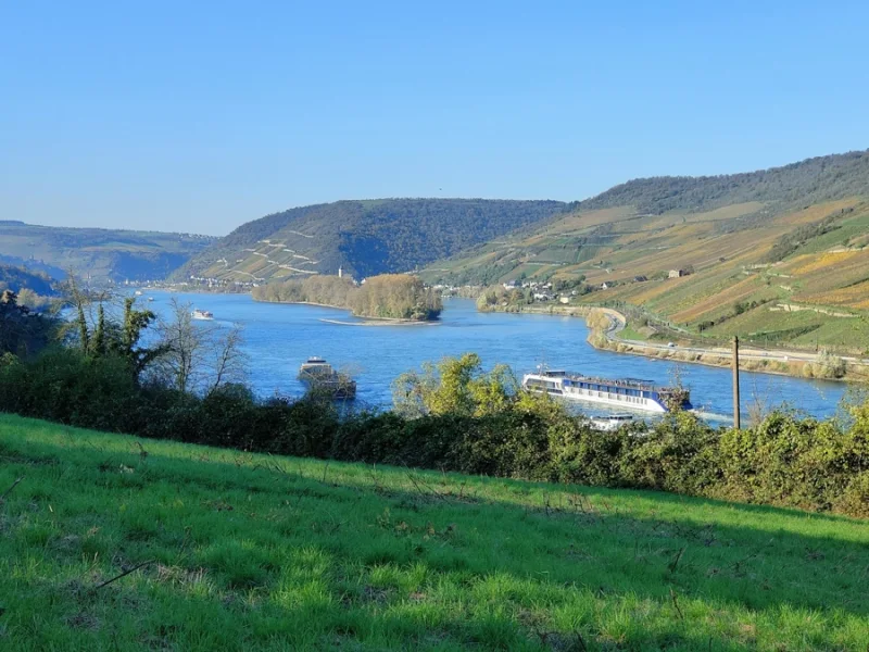 Rheinblick - Grundstück kaufen in Trechtingshausen - Traumgrundstück!Leben im malerischen UNESCO Welterbe Mittelrheintal / Nähe Bingen