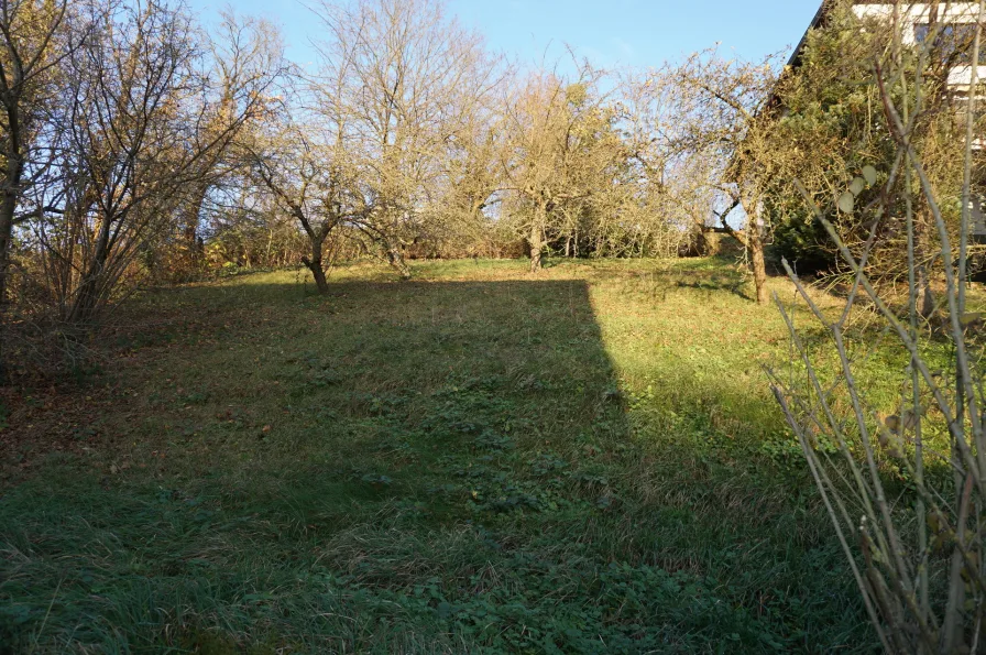 Grundstück hinter dem Haus