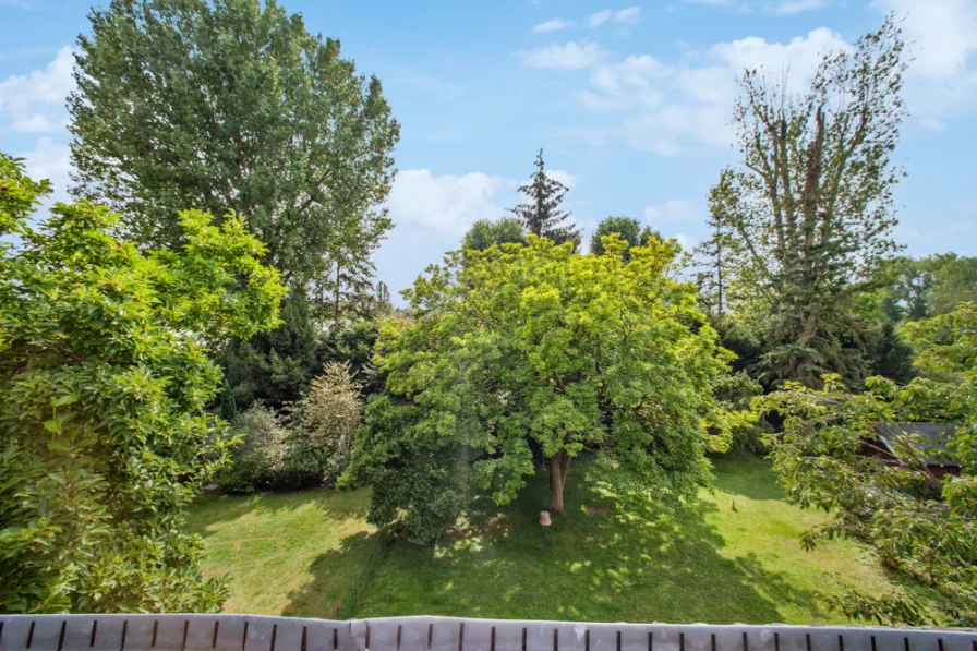 Ausblick vom Balkon