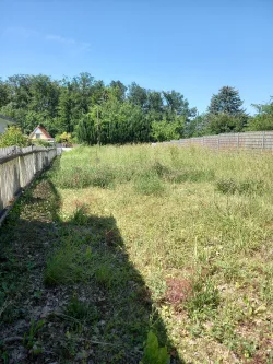 Gesamtansicht Ri. Nord - Grundstück kaufen in Erfurt - Ideal für Stadtbewohner mit Lust auf Natur: Grundstück zur Bebauung mit Garten-/Sommerhaus im Steigerwald ...