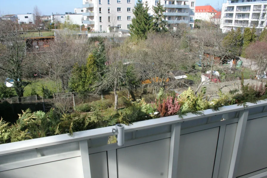 Blick in den grünen Gemeinschaftsgarten vom Nord-West-Balkon aus