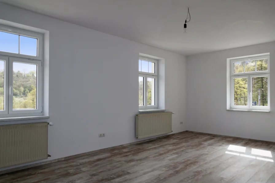 Wohnzimmer - Wohnung mieten in Greiz - Erstbezug nach Sanierung