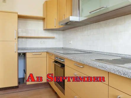 Einbauküche  - Wohnung mieten in Greiz - Zwei Etagen, Einbauküche und Gartenterrasse