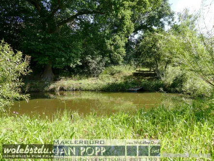 Teich - Grundstück kaufen in Greiz - Sonniges Baugrundstück mit Angelteich!