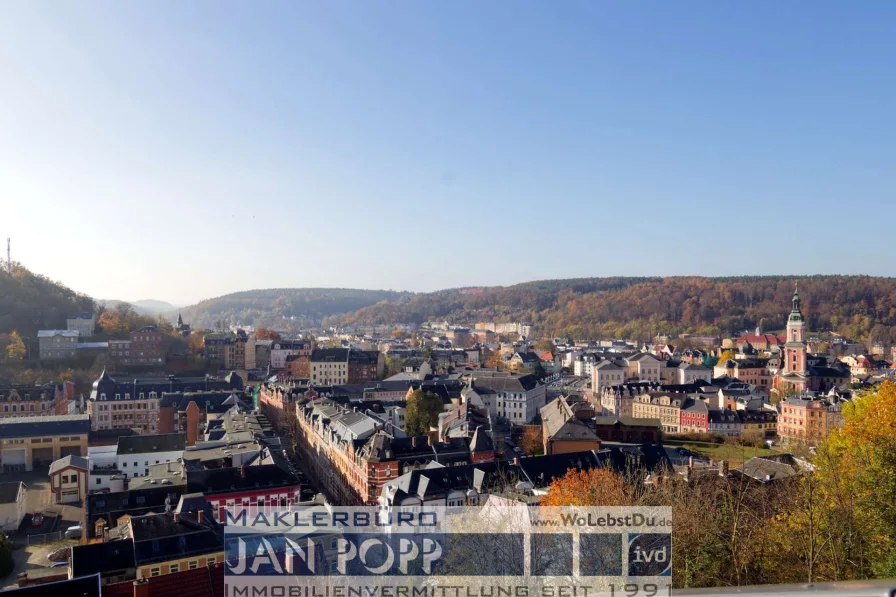 Blick über Greiz