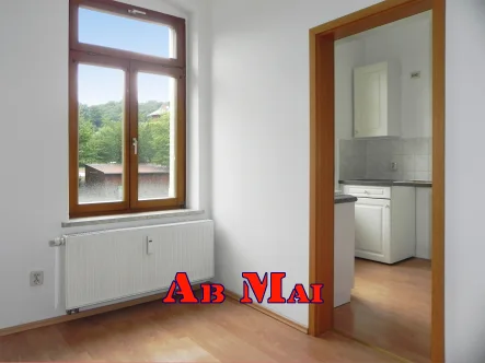 Wohnraum-Küche  - Wohnung mieten in Greiz - Apartment in Bahnhofsnähe