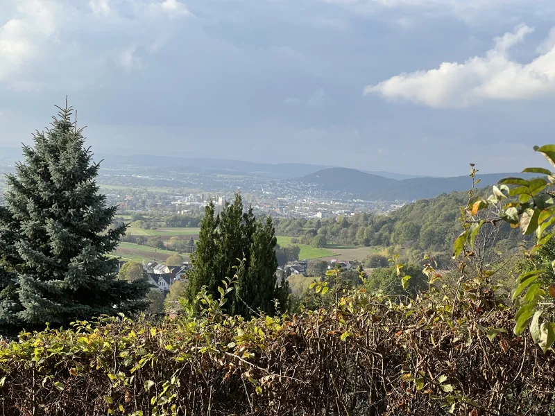 herrlicher Fernblick über das Kinzigtal