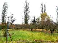 Obstgarten