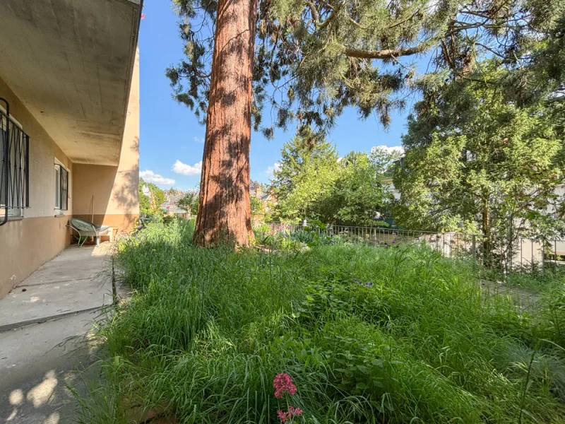 Garten zur Mitbenutzung