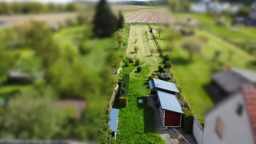 Blick über den Garten