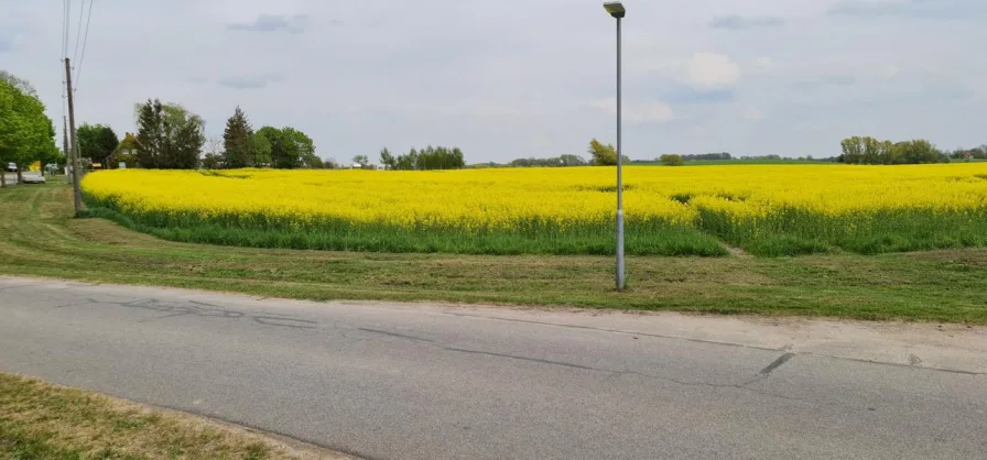 Gegenüber vom Grundstück 