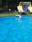 Im Sommer lockt der Swimmingpool