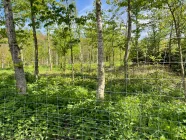 Blick über den Zaun (Südosten)