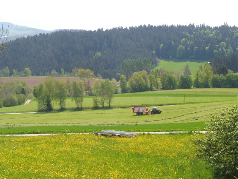 unmittelbare Umgebung