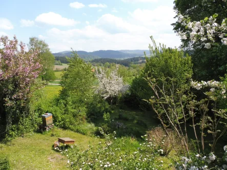 Ausblick Richtung Südosten - Haus kaufen in Wegscheid - ***Naturnah Wohnen - Freiheit genießen***