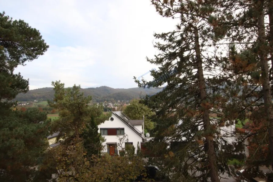 BLICK ZUR BERGSTRASSE - Haus kaufen in Bickenbach - MELIBOKUSBLICK