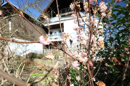 FRÜHLINGSERWACHEN - Wohnung kaufen in Mühltal - FRÜHLINGSERWACHEN 