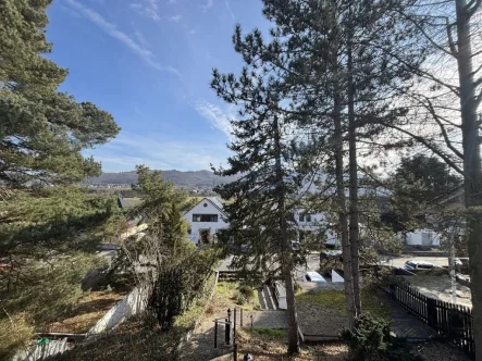 BERGSTRASSENBLICK - Haus kaufen in Bickenbach - FRÜHLING AN DER BERGSTRASSE