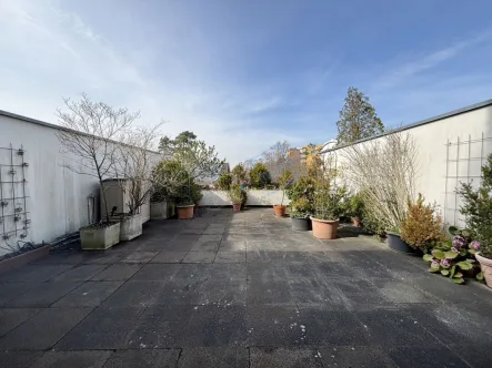 RIESIGE DACHTERRASSE - Wohnung kaufen in Darmstadt - MAISONETTE mit großer Dachterrasse