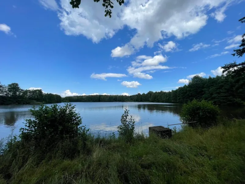 Ansicht - Land- und Forstwirtschaft kaufen in Plothen - Teich + Wiese 