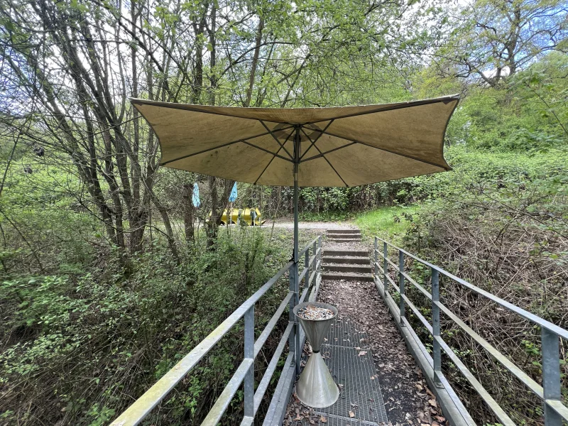 Freisitz hinter dem Gebäude / Notausgang Büro