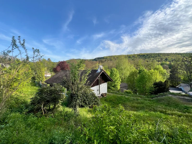 Blick auf das Haus - Haus kaufen in Biebergemünd - **Ferienhaus als Hauptwohnsitz in traumhafter naturnaher Umgebung**