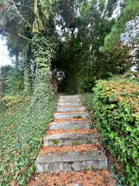 Seitliche Treppe