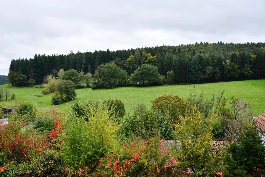 herrlicher Blick vom Balkon