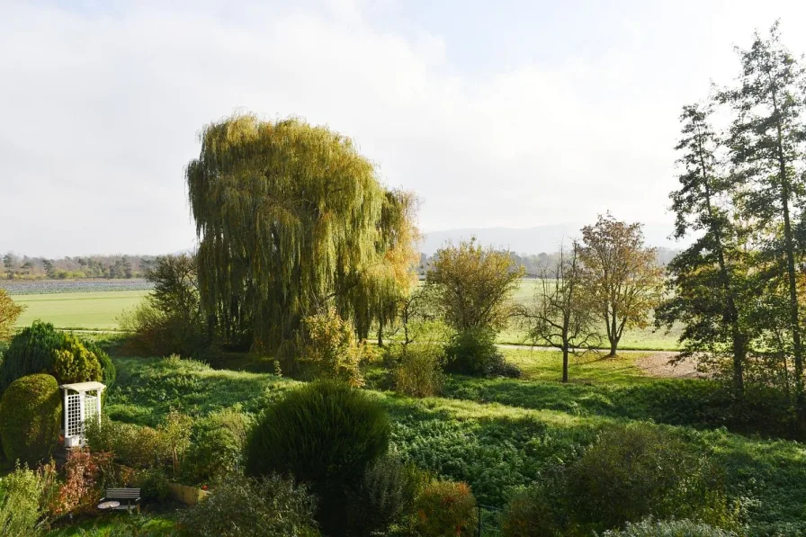 Blick vom Balkon