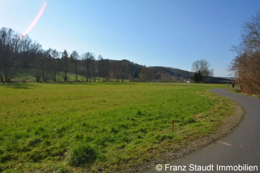Bild - Grundstück kaufen in Laufach - Wiesengrundstück am Bach in Laufach-Frohnhofen