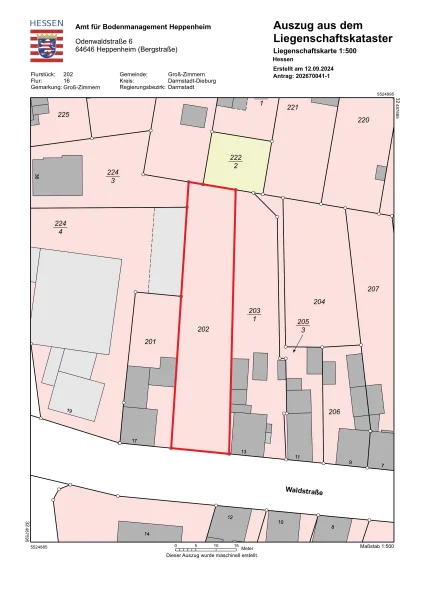 Amtlicher Lageplan