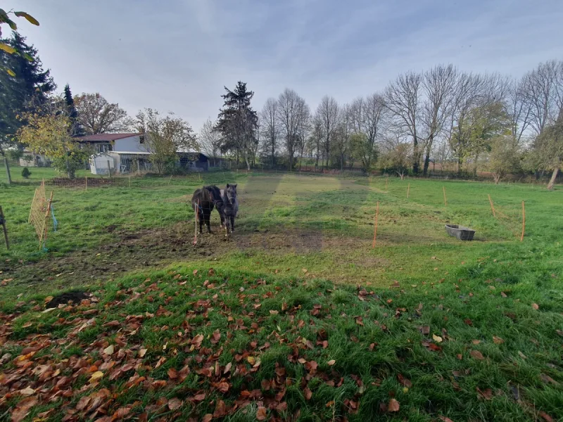 Blick ins Grundstück