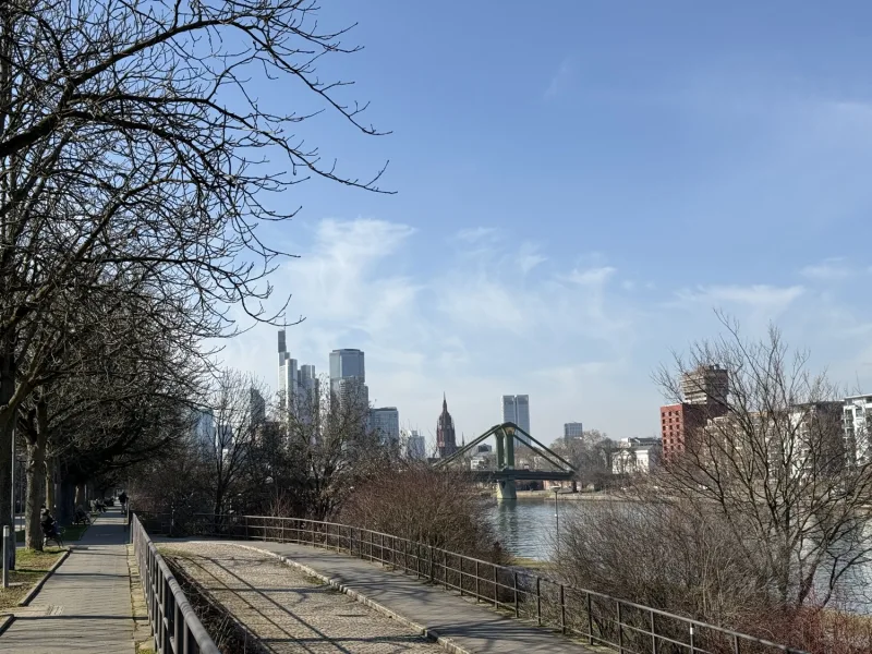 Mainufer Blick Skyline