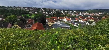 Blick vom Grundstück auf Wallhausen - Grundstück kaufen in Wallhausen - Entwickeltes Baugrundstück mit Baugenehmigung für 4 Doppelhaushälften liegt vor