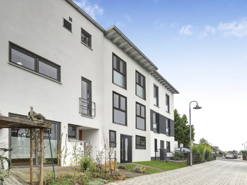 Visualisierung Zuweg - Haus kaufen in Ingelheim - Ingelheim # Neubau Reihenmittelhaus # zum fertigstellen nach eigenen Wünschen