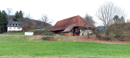  - Haus kaufen in Emmendingen - besonderes Angebot - Hofgut mit Wohnhaus