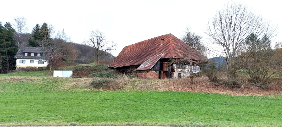  - Haus kaufen in Emmendingen - besonderes Angebot - Hofgut mit Wohnhaus