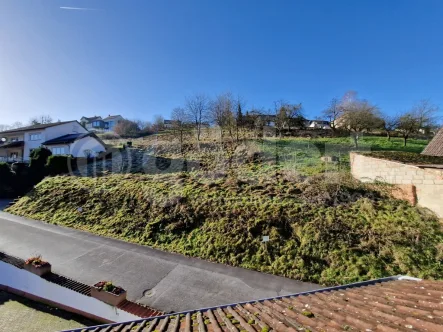 g_133321 - Grundstück kaufen in Leidersbach - Sonniges Hanggrundstück im Spessart