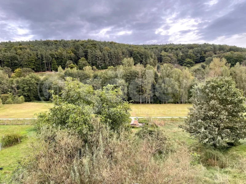 g_133591 - Grundstück kaufen in Heimbuchenthal - Herrliche Aussichten - unverbaubar!