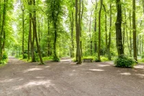 Das Objekt liegt direkt am Heinrich-Leahr-Park, mit einer Größe von rund 20 Hektar größtes Naherholungsgebiet im Süden Zehlendorfs.