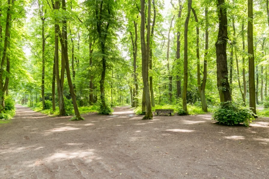 Das Objekt liegt direkt am Heinrich-Leahr-Park, mit einer Größe von rund 20 Hektar größtes Naherholungsgebiet im Süden Zehlendorfs.