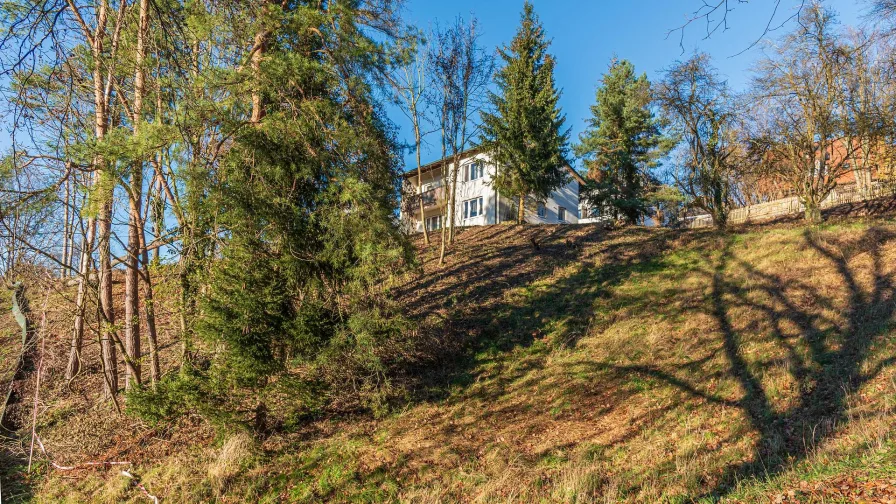 Blick von Süden hoch zum Altbestand