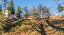 Blick von Süden hoch zum Altbestand und zum Plateau