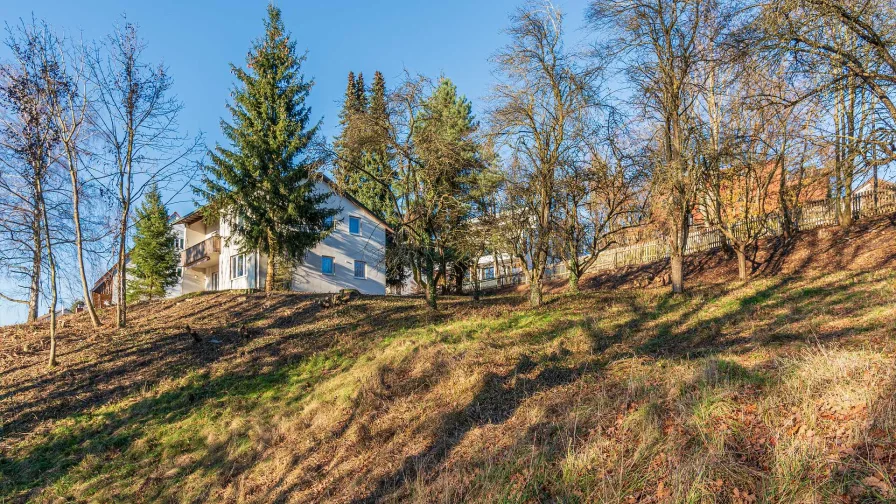 Blick von Süden hoch zum Altbestand