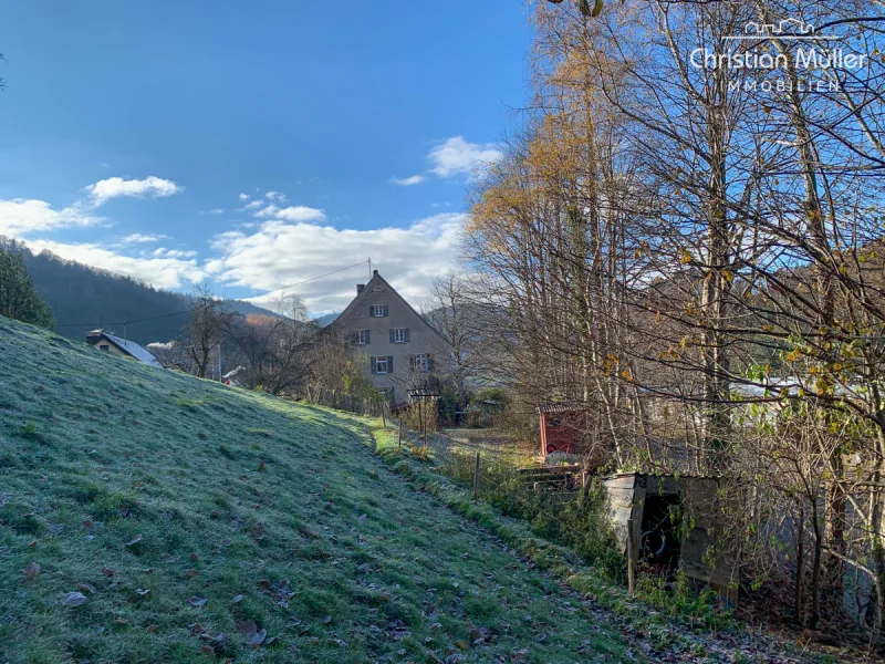 Blick vom Garten Richtung Haus