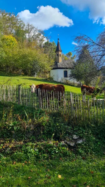 Blick Richtung Kapelle