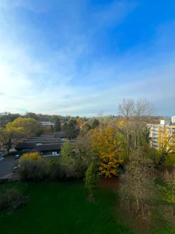 Ausblick - Wohnung kaufen in Freiburg im Breisgau - Wohnen mit Aussicht – Renovierungsbedürftige 2-Zimmer-Wohnung in Freiburg Landwasser!