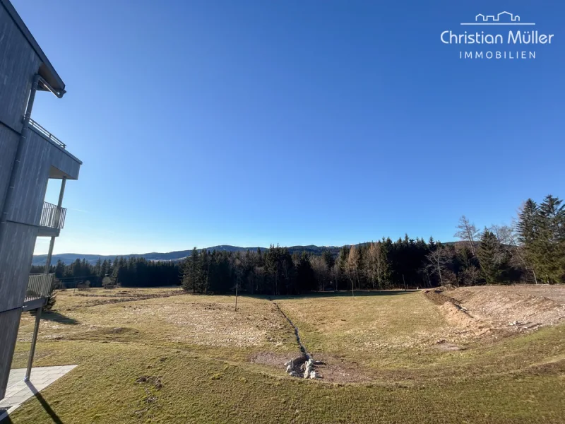 Ausblick in den Schwarzwald