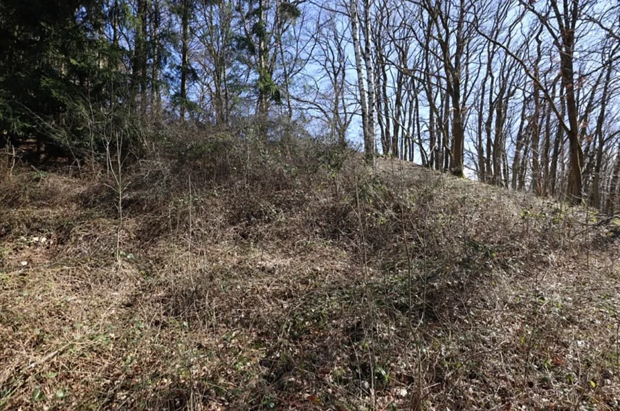 Im Hasental 18_01 - Grundstück kaufen in Mehren - Baugrundstück mit Hanglage und Baumbestand, rechteckiger Zuschnitt, im Wochenendhausgebiet  Mehren14