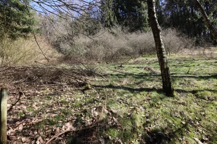 Im Hasental 20_01 - Grundstück kaufen in Mehren - Baugrundstück mit Hanglage und trapetzförmigem Zuschnitt, im Wochenendhausgebiet„Im Hasental“ Mehren